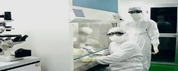 生物安全在生物技術研究與開發(fā)中的核心內容