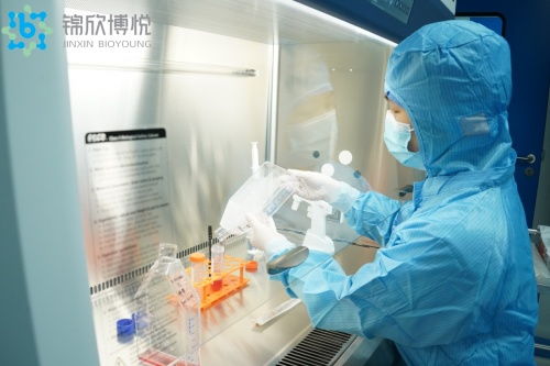 揭秘人體抗衰新前沿 干細(xì)胞技術(shù)引領(lǐng)的三大路徑